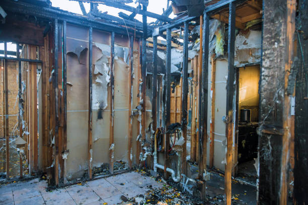Professional Soot Cleanup technician working in Genola, UT